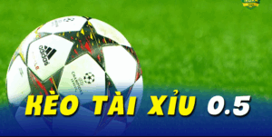 Ví Dụ Thực Tế Và Nghiên Cứu Điển Hình